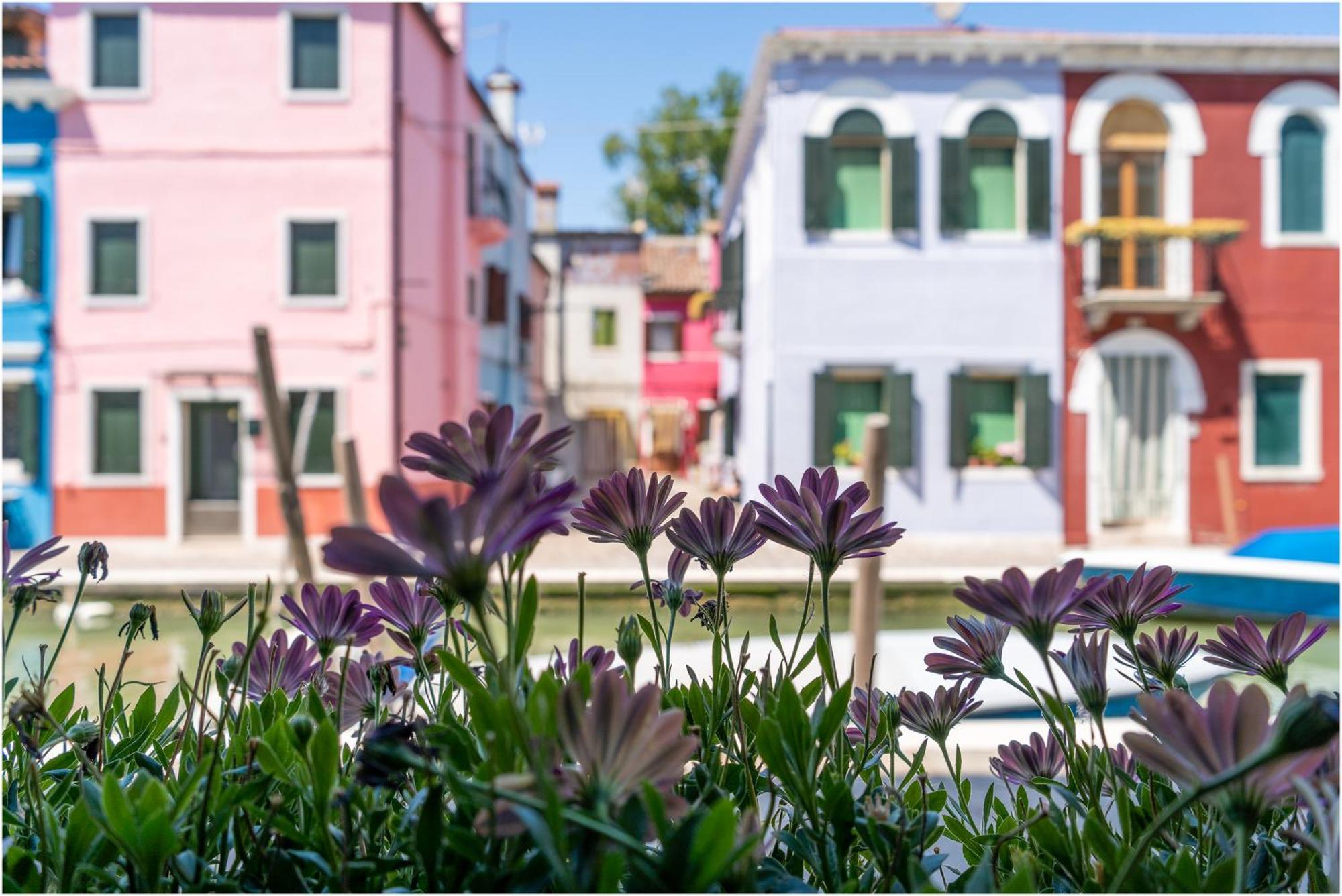 Tiffany * Burano